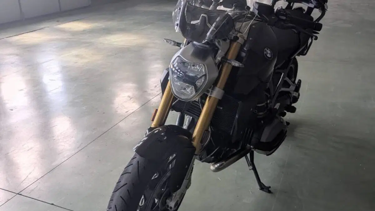 Bmw R 1200 R Black Edition (2017 - 18)  (3)