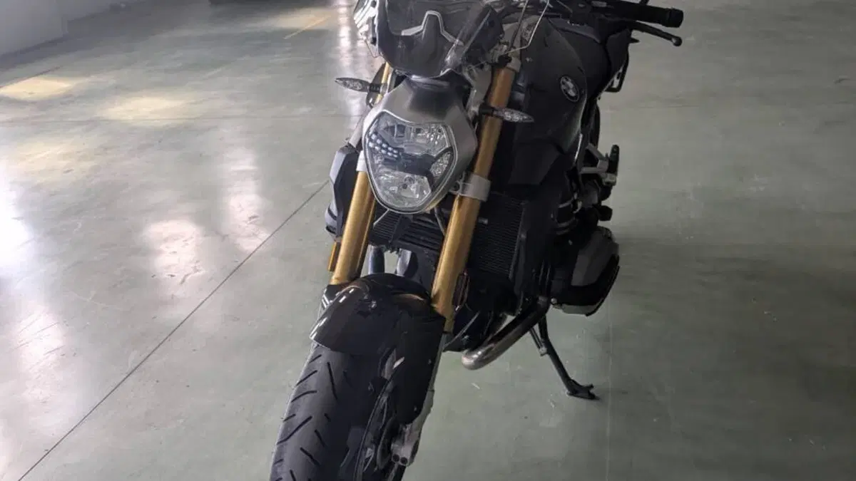 Bmw R 1200 R Black Edition (2017 - 18)  (5)