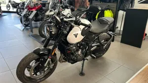 Triumph Trident 660 (2026)  (4)