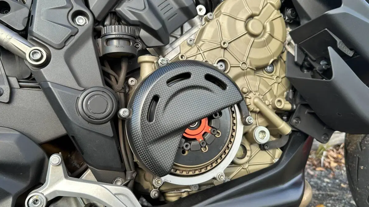 Ducati Multistrada V4 RS (2024 - 25)  (15)