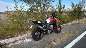 Ducati Multistrada V4 RS (2024 - 25)  (3)