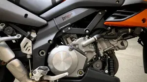 Kawasaki   (4)