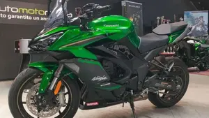 Kawasaki Ninja 1100 SX SE Tourer (2025 - 27)  (2)