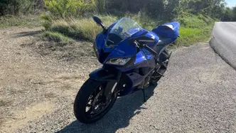Honda CBR 600 RR (2009 - 12) usata