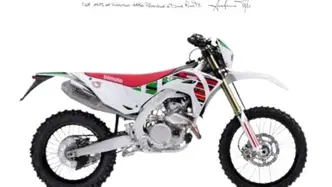 Bimota BX 450 (2023 - 25) nuova