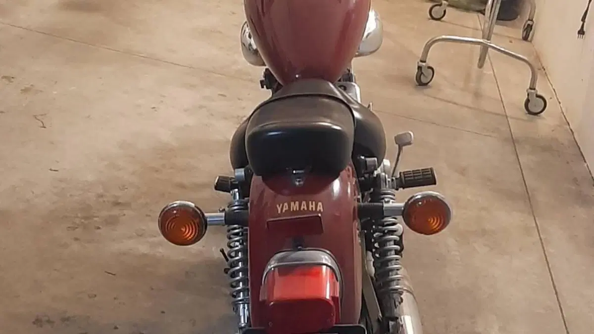 Yamaha   (10)
