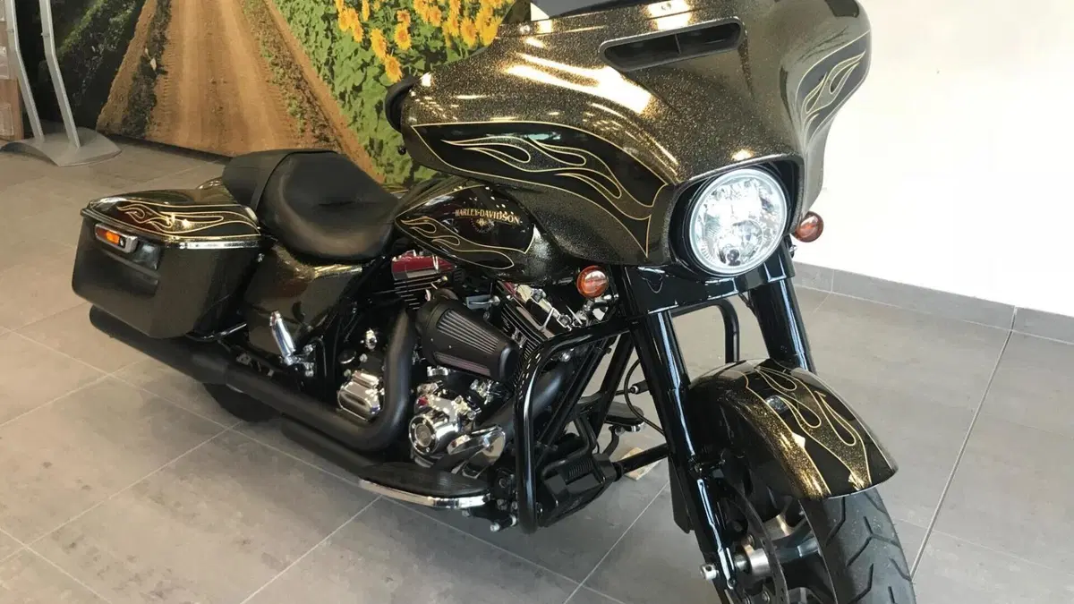 Harley-Davidson 1690 Street Glide Special (2014 - 16) - FLHX  (9)