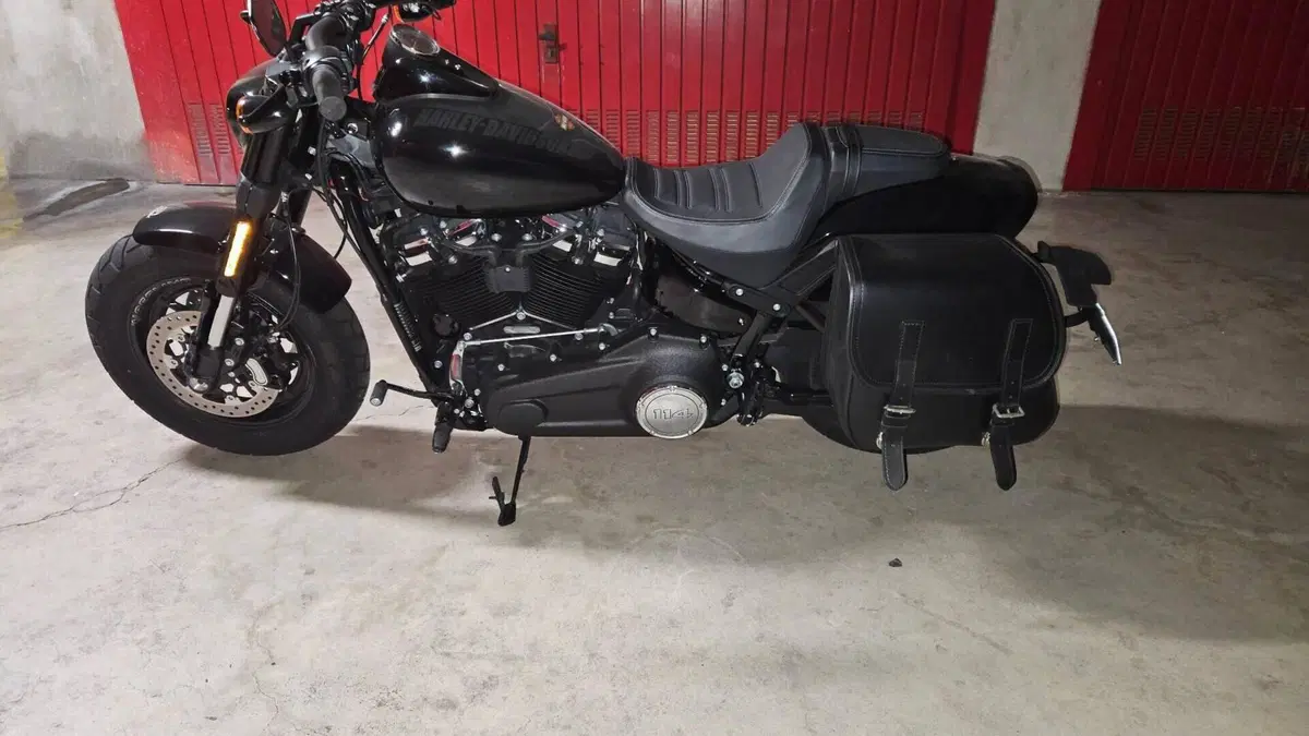 Harley-Davidson Fat Bob 114 (2021 - 25)  (2)