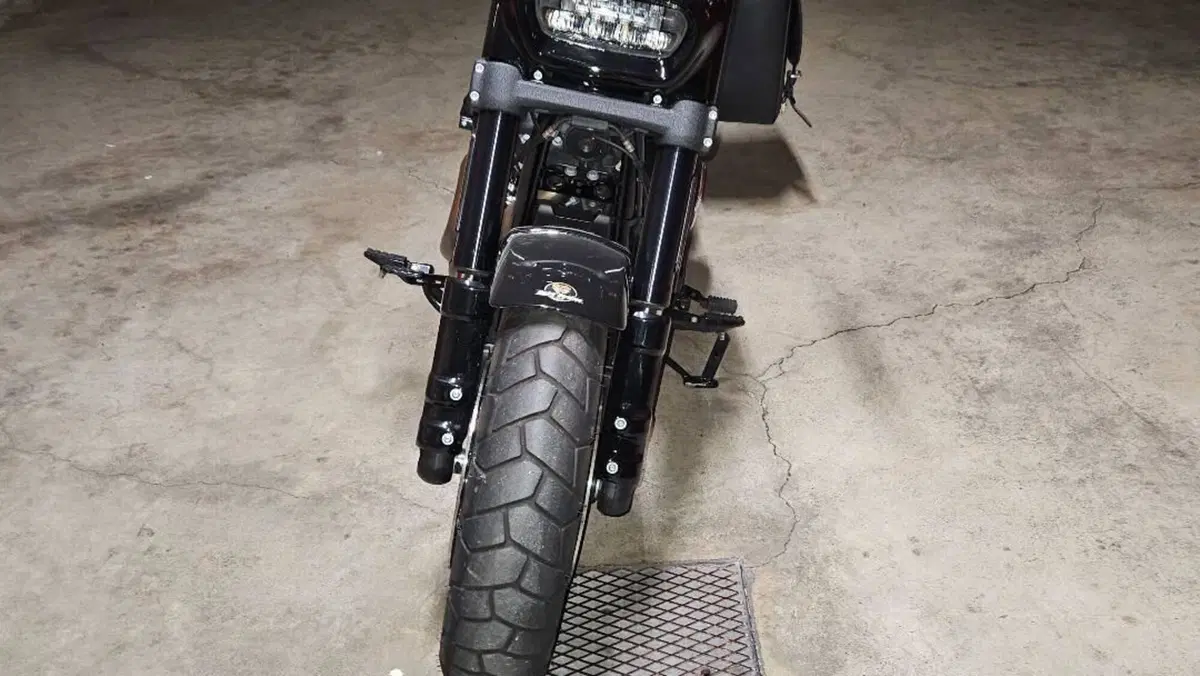 Harley-Davidson Fat Bob 114 (2021 - 25)  (3)