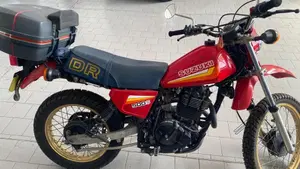 Suzuki   (2)