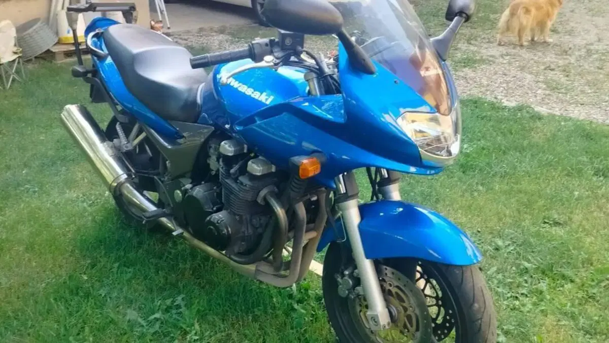 Kawasaki ZR 7S  (2)