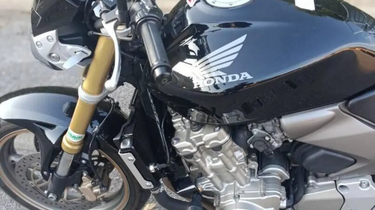 Honda Hornet 600 (2005 - 06)  (3)