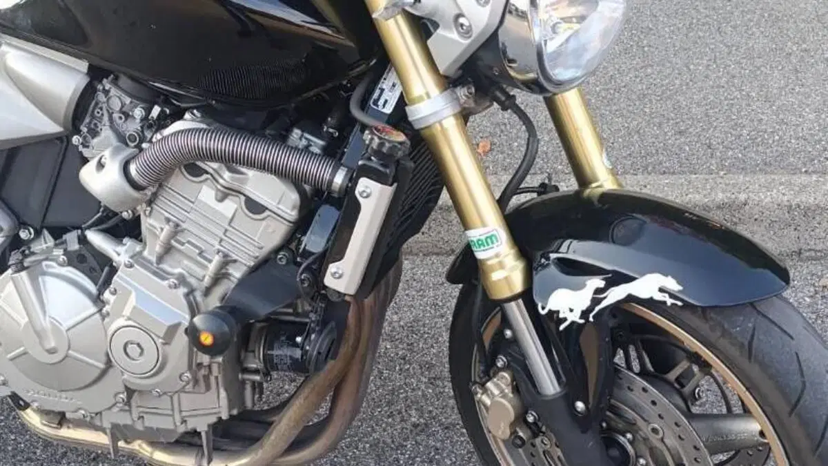 Honda Hornet 600 (2005 - 06)  (6)