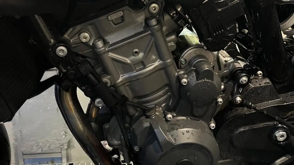 KTM 790 Duke L (2023 - 24)  (10)