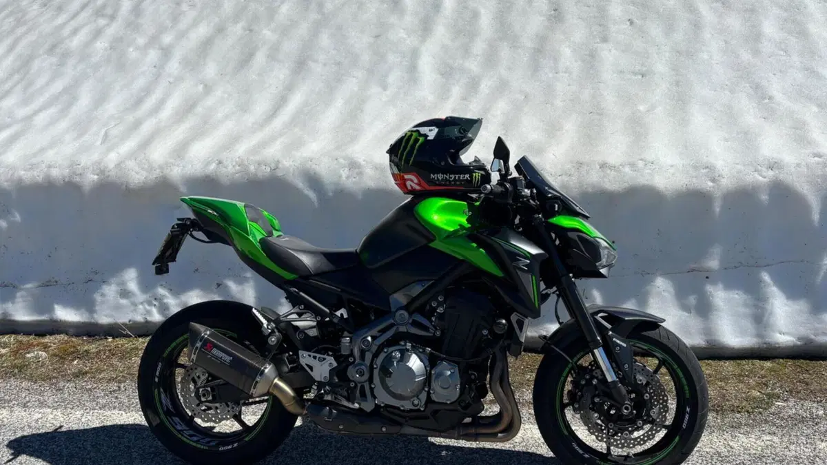 Kawasaki Z 900 Performance (2019)  (9)