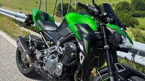 Kawasaki Z 900 Performance (2019)  (12)