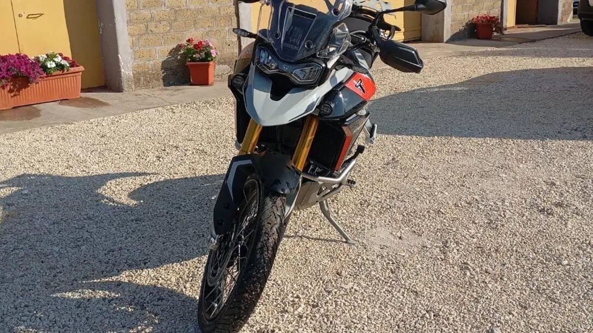 Triumph Tiger 900 Rally Pro (2024 - 26) 