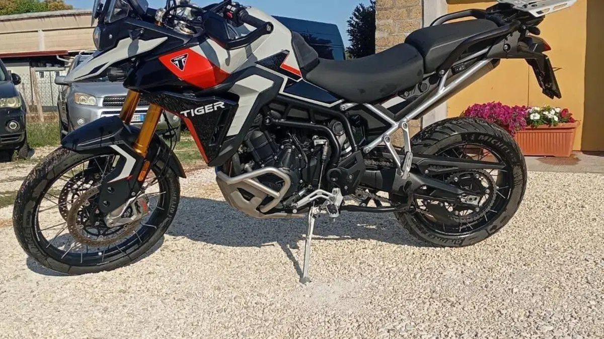 Triumph Tiger 900 Rally Pro (2024 - 26)  (2)
