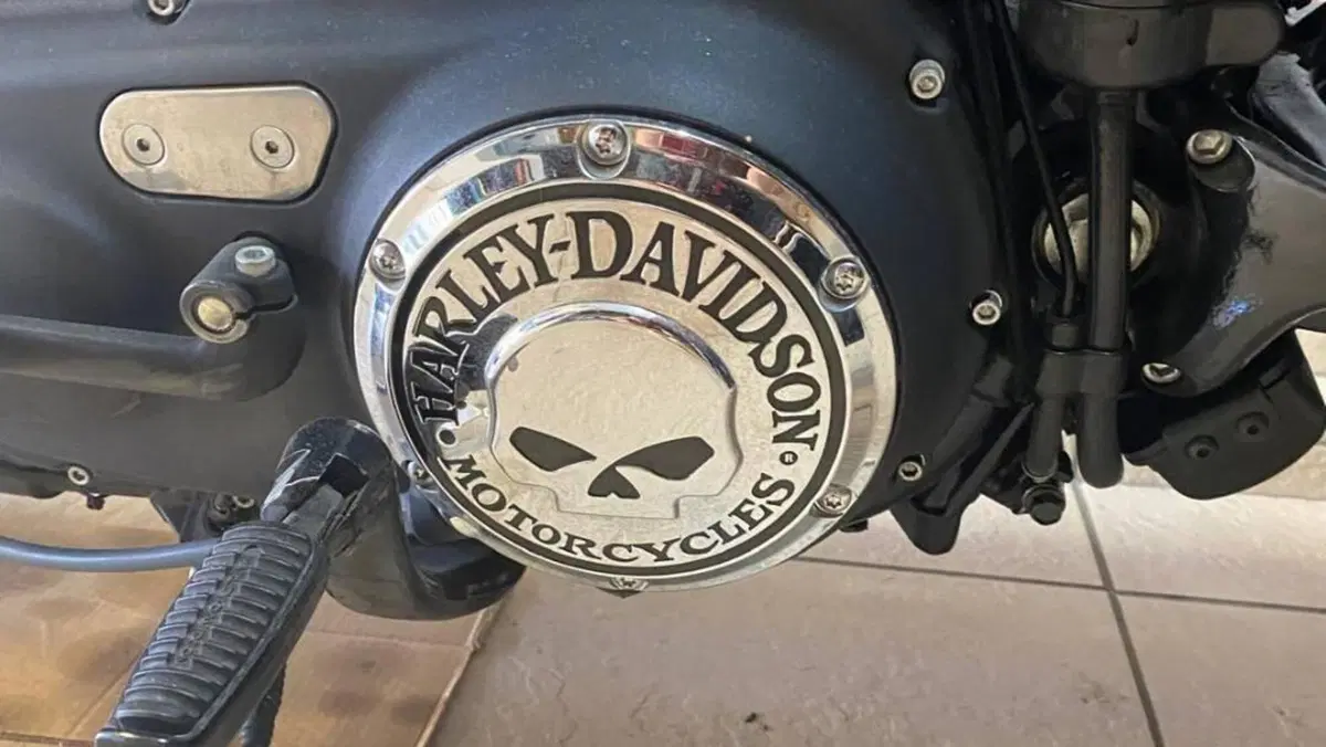 Harley-Davidson 883 Iron (2012 - 14) - XL 883N  (9)