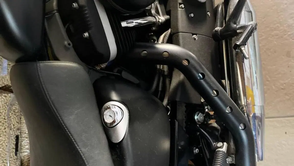 Harley-Davidson 883 Iron (2012 - 14) - XL 883N  (10)