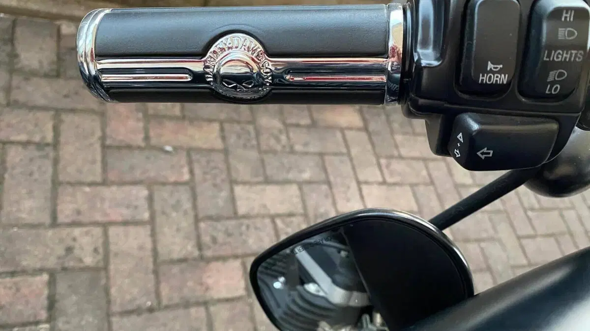Harley-Davidson 883 Iron (2012 - 14) - XL 883N  (11)