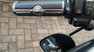 Harley-Davidson 883 Iron (2012 - 14) - XL 883N  (11)