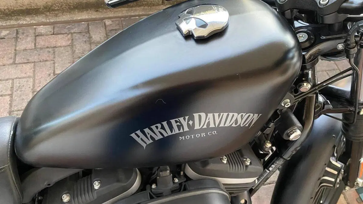 Harley-Davidson 883 Iron (2012 - 14) - XL 883N  (12)