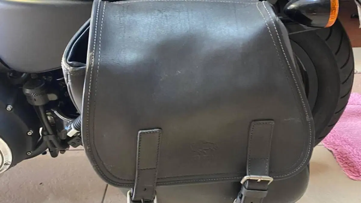 Harley-Davidson 883 Iron (2012 - 14) - XL 883N  (14)