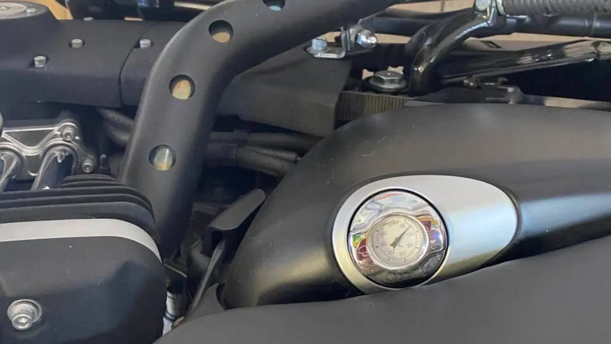 Harley-Davidson 883 Iron (2012 - 14) - XL 883N  (17)