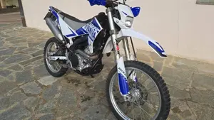 Yamaha WR 250 R (2008 - 13)  (2)