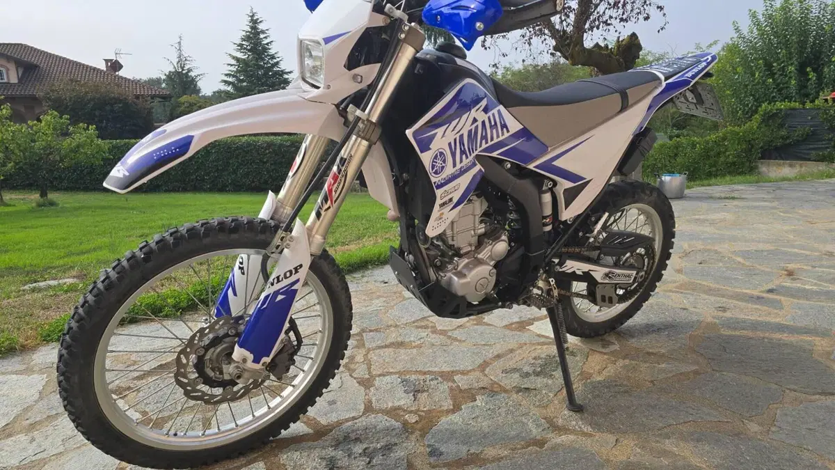 Yamaha WR 250 R (2008 - 13)  (4)