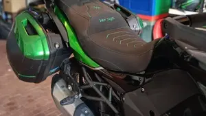 Kawasaki Versys 1000 SE Grand Tourer (2022 - 24)  (11)