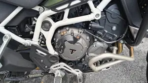 Triumph Tiger 900 Rally Pro (2020 - 23)  (3)