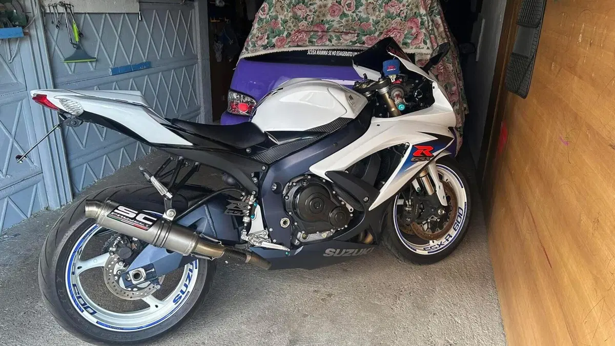 Suzuki GSX R 600 (2008 - 10) 