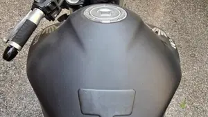 Honda Hornet 600 (2011 - 13)  (5)