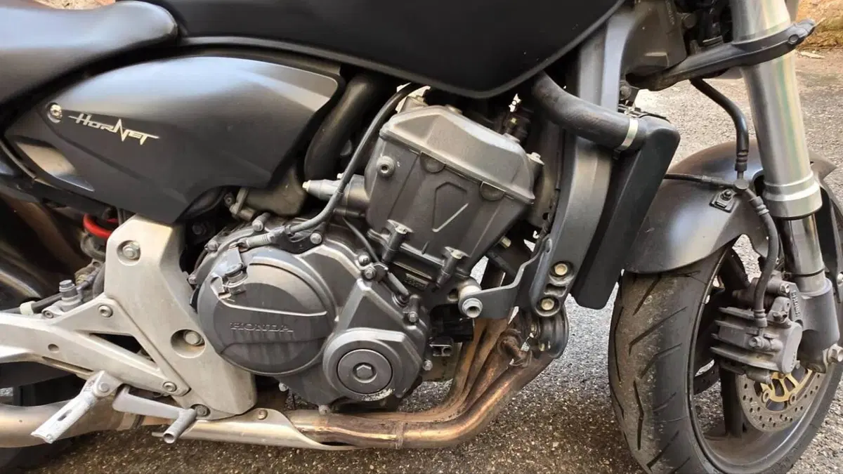 Honda Hornet 600 (2011 - 13)  (7)