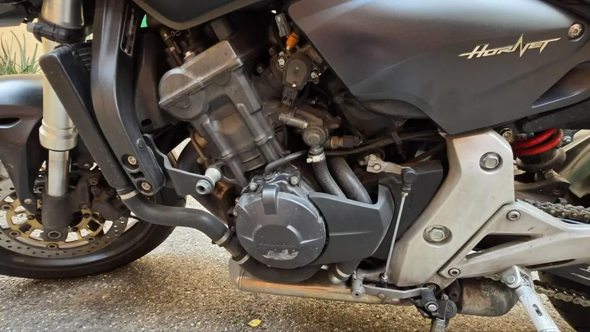Honda Hornet 600 (2011 - 13)  (10)