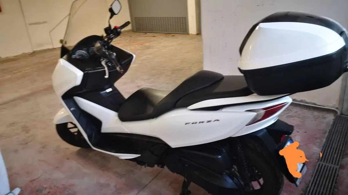 Honda Forza 300 ABS (2013 - 17)  (2)