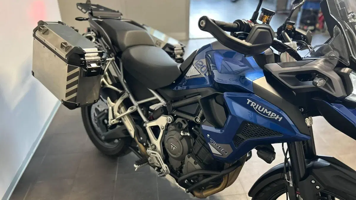 Triumph Tiger 1200 GT Pro (2022 - 23)  (12)
