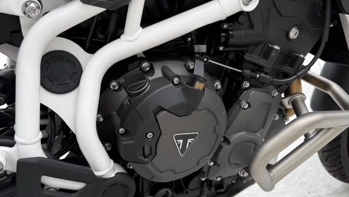 Triumph Tiger 900 Rally Pro (2020 - 23)  (4)