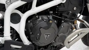 Triumph Tiger 900 Rally Pro (2020 - 23)  (4)