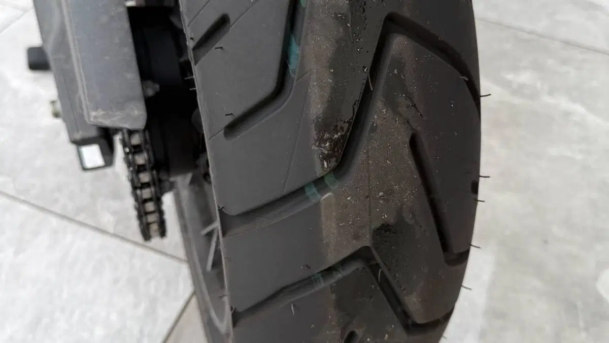 Triumph Tiger 900 Rally Pro (2020 - 23)  (5)