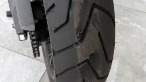Triumph Tiger 900 Rally Pro (2020 - 23)  (5)