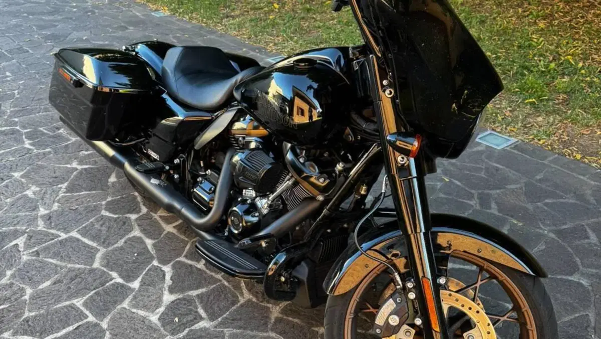 Harley-Davidson Street Glide ST (2022 - 23)  (5)