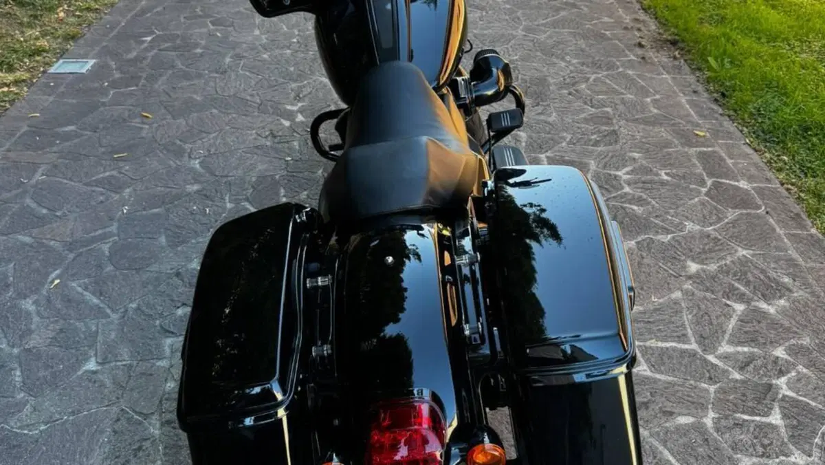 Harley-Davidson Street Glide ST (2022 - 23)  (6)