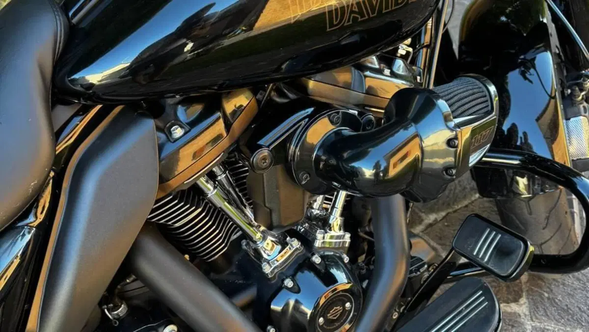 Harley-Davidson Street Glide ST (2022 - 23)  (7)