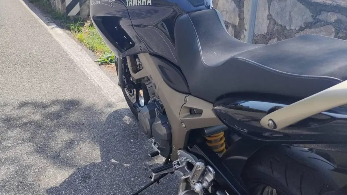 Yamaha   (9)