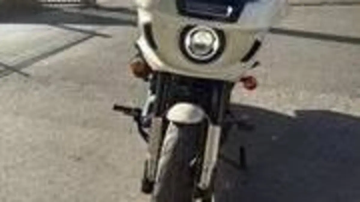 Harley-Davidson Low Rider ST (2022 - 24)  (2)