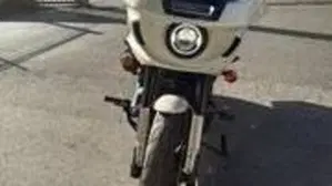 Harley-Davidson Low Rider ST (2022 - 24)  (2)