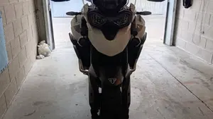 Triumph Tiger 900 GT Pro (2020 - 23)  (6)